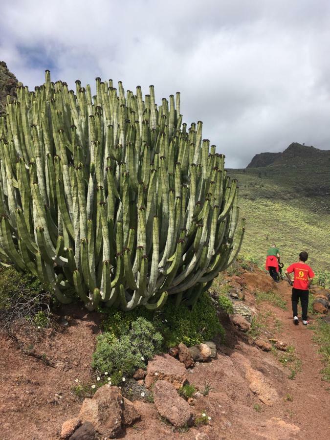 Casa Manel, La Gomera San Sebastián de la Gomera 外观 照片